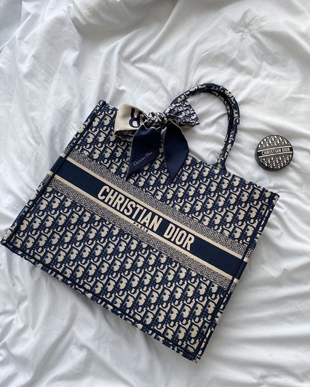 Dior Book Tote