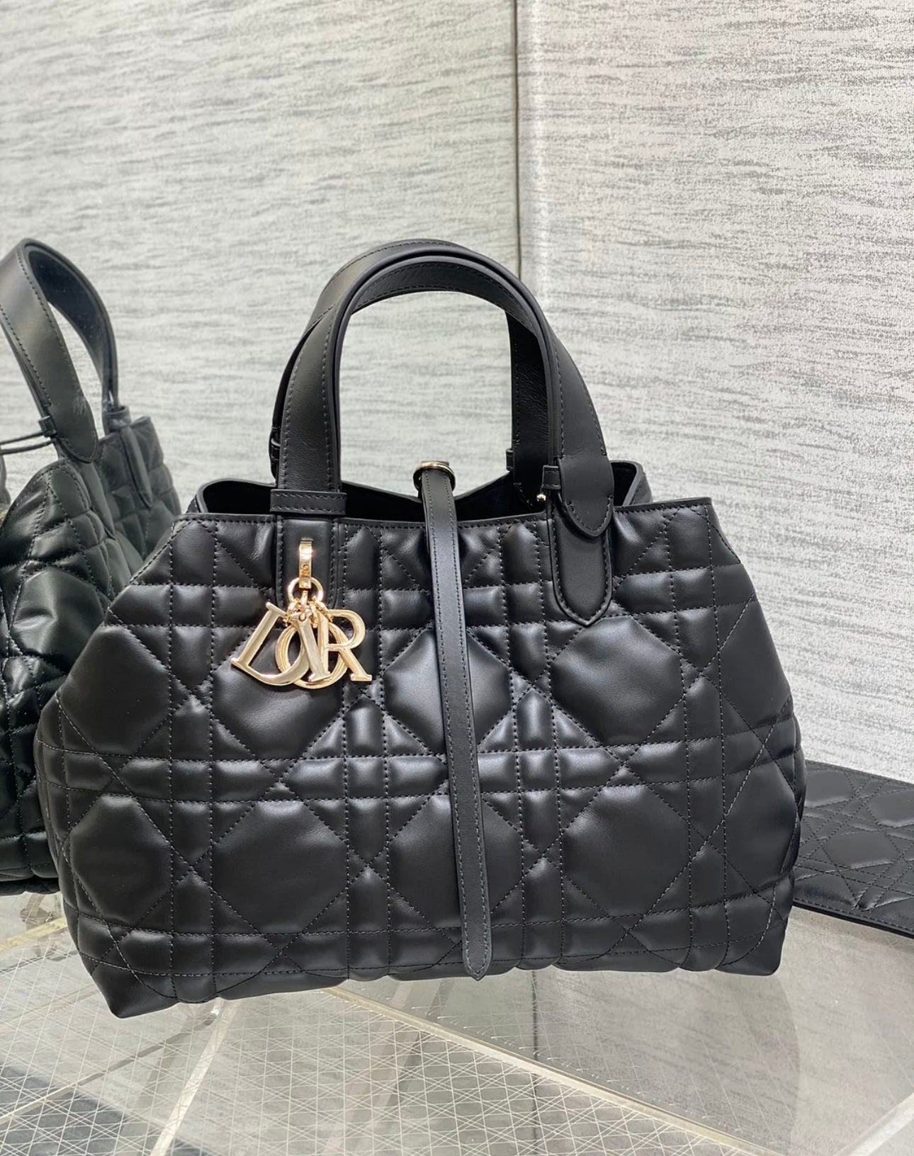 Small Dior Toujours Bag