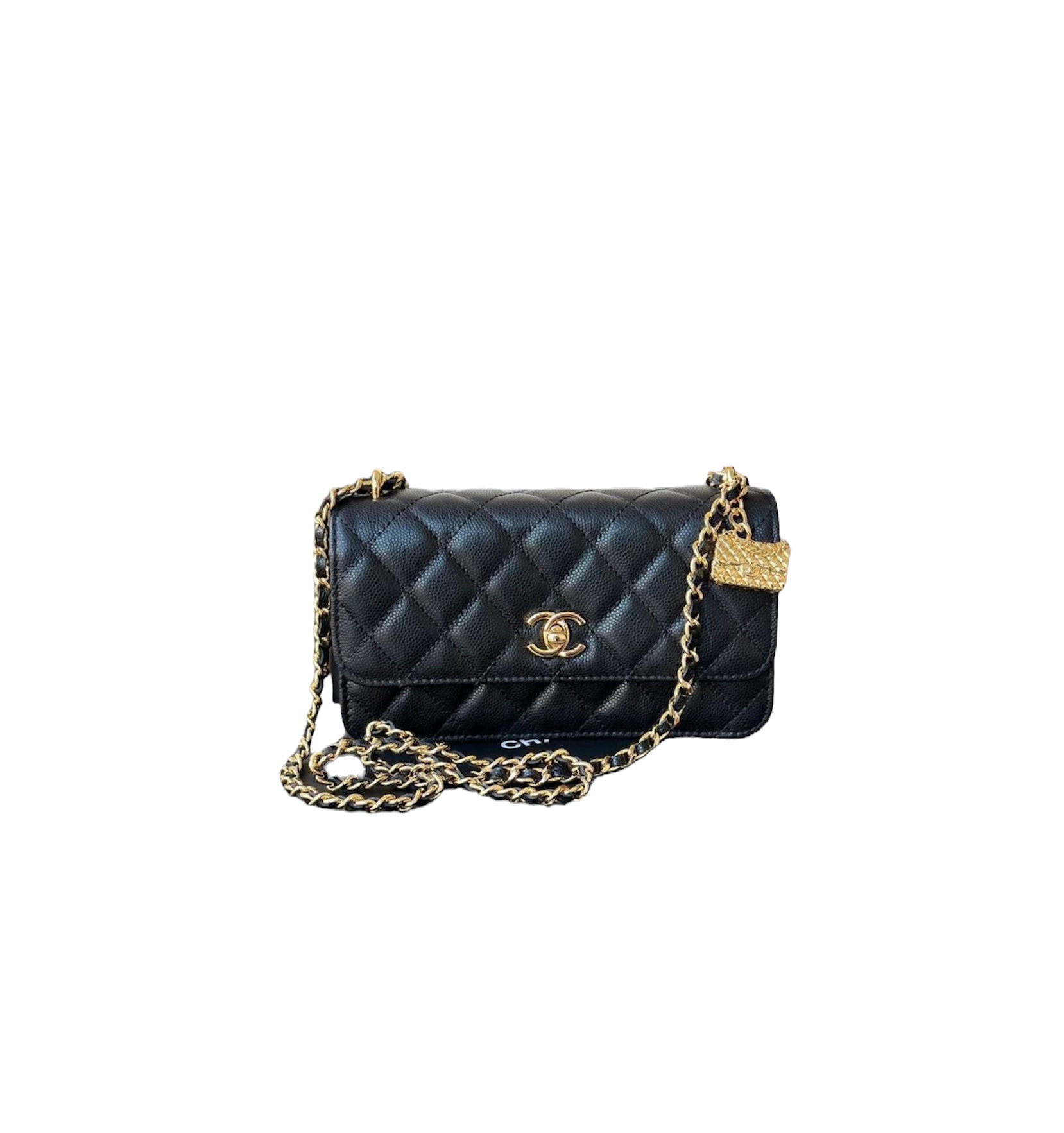 Chanel Classic Leather Bag