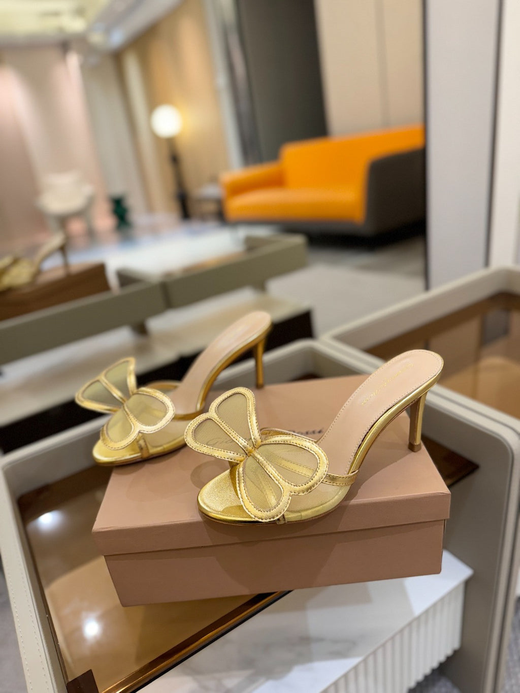 Gianvito Rossi shoes