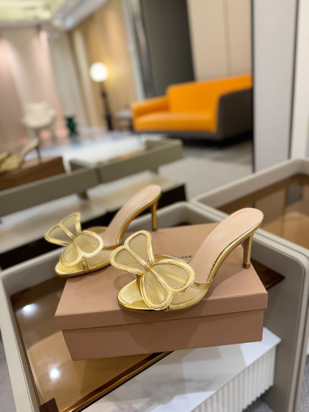 Gianvito Rossi shoes
