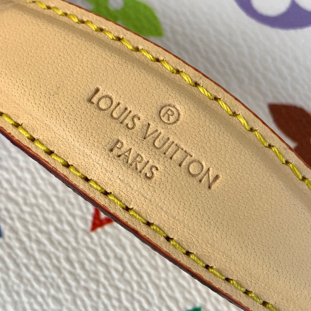 Louis Vuitton Murakami Nano Bag