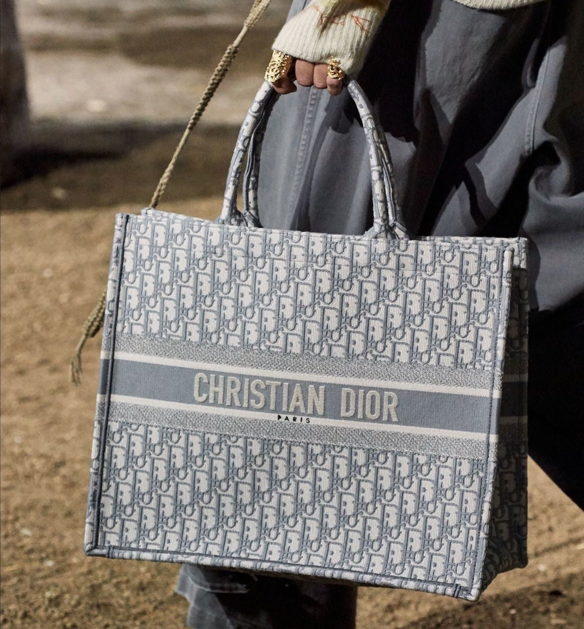 Dior Tote In Grey