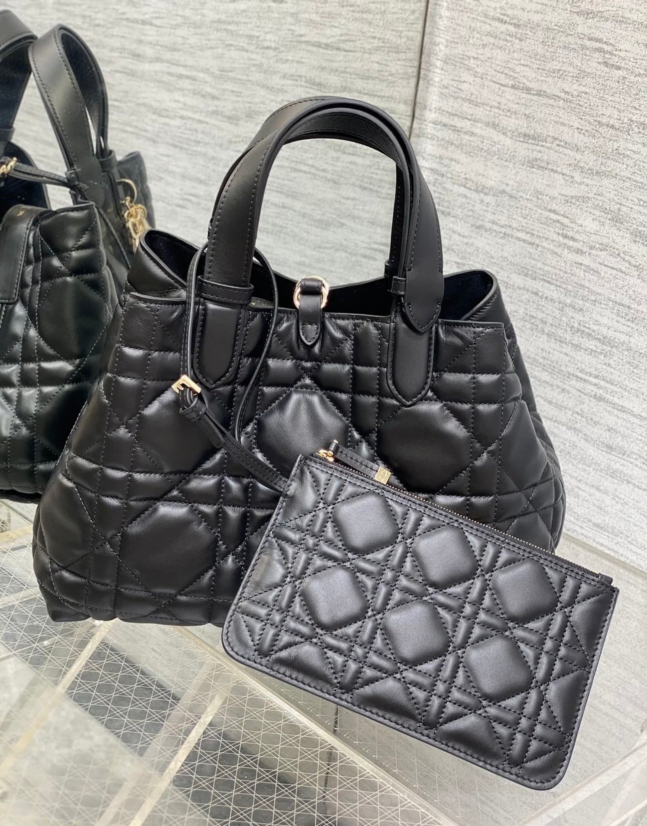 Small Dior Toujours Bag
