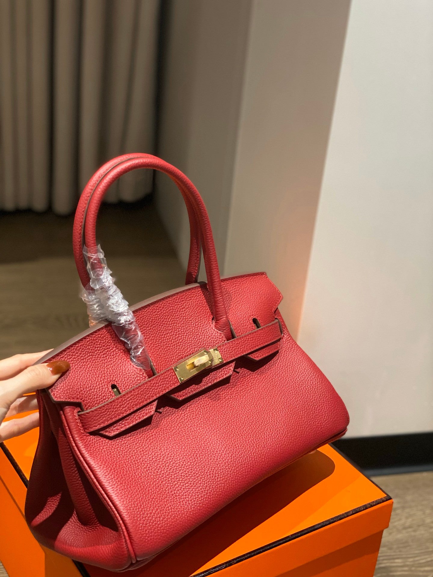 Hermes Birkin Handbag in Red