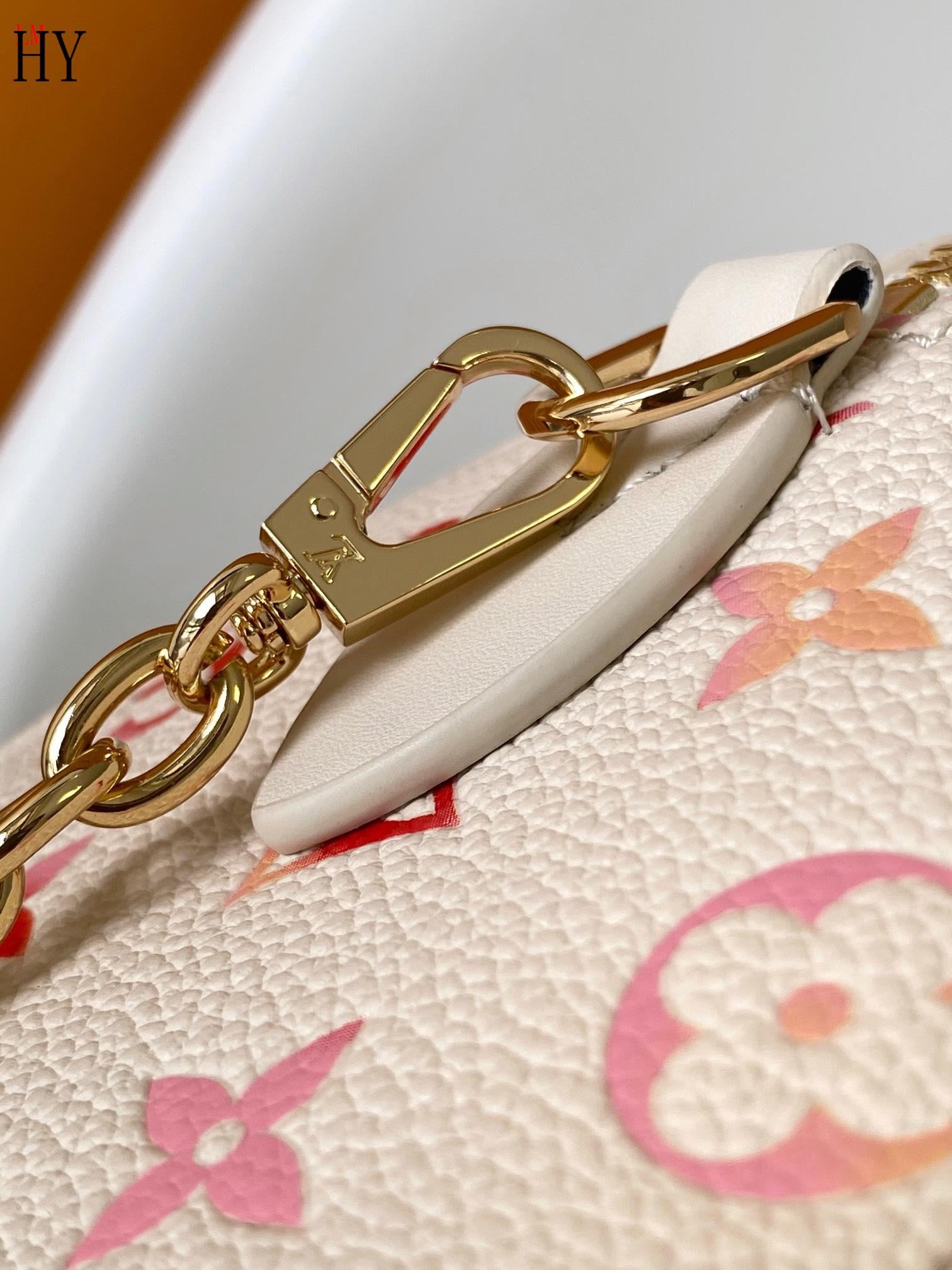 Louis Vuitton Leather Bag For Women