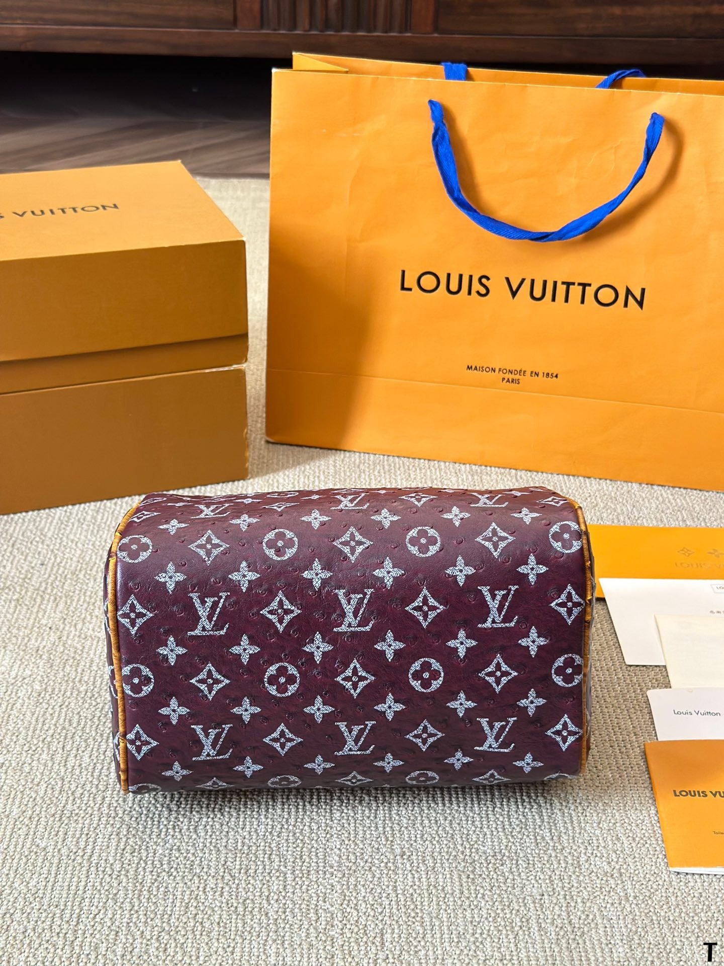 Louis Vuitton Speedy 25