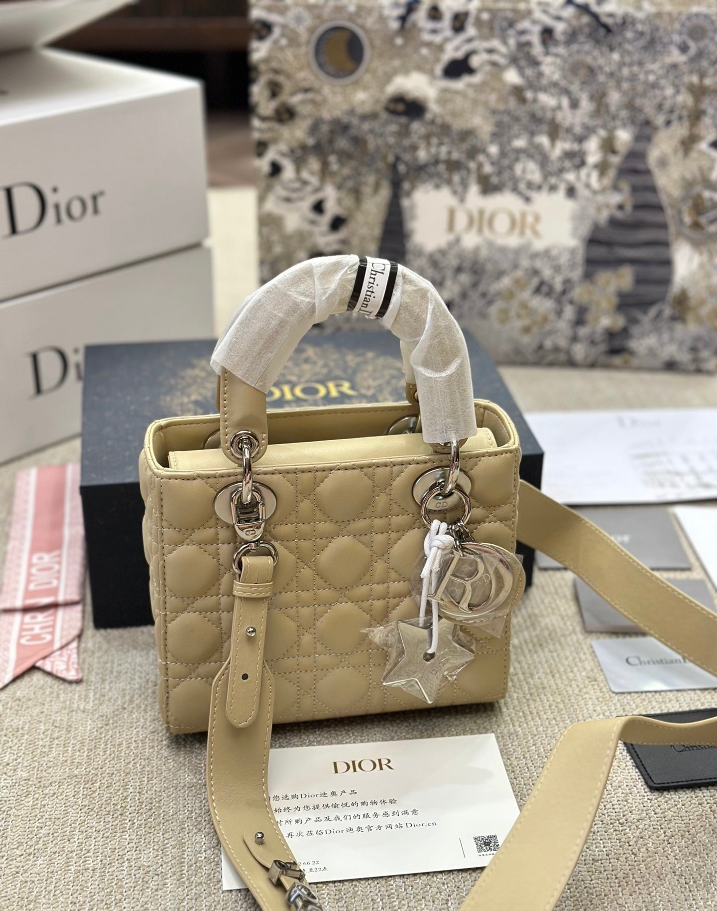 Lady Dior Bag