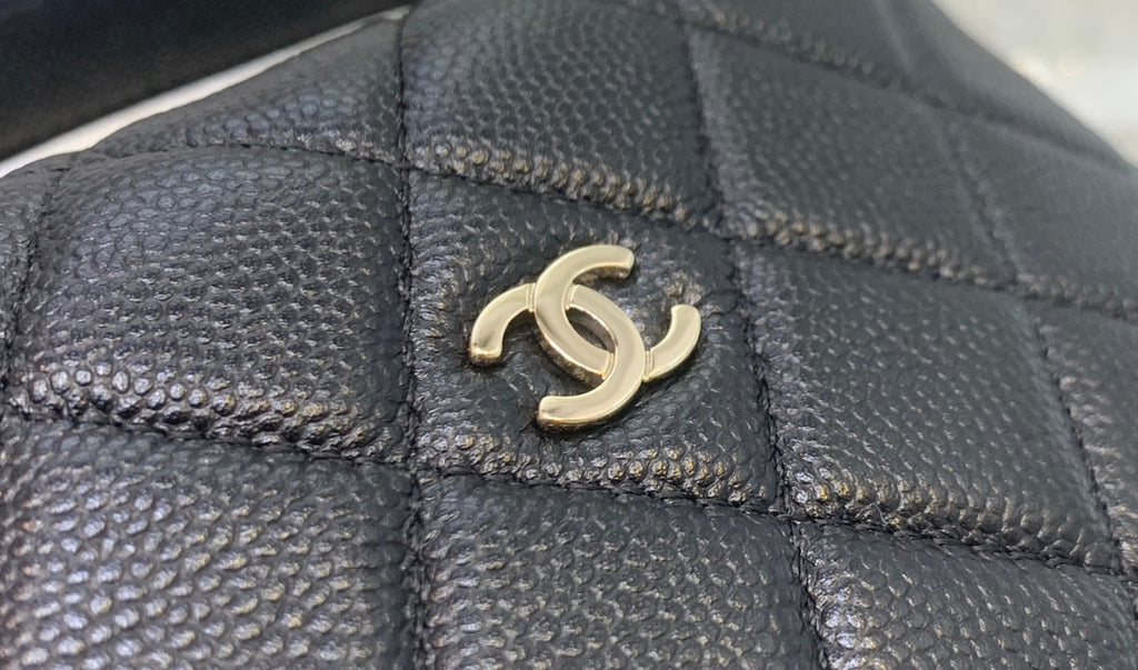 Chanel Cosmetic Bag