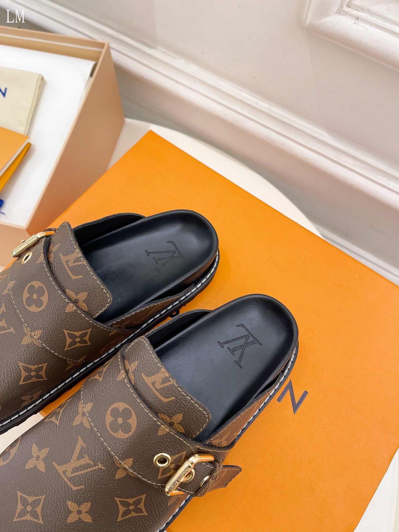 Louis Vuitton mules monogram