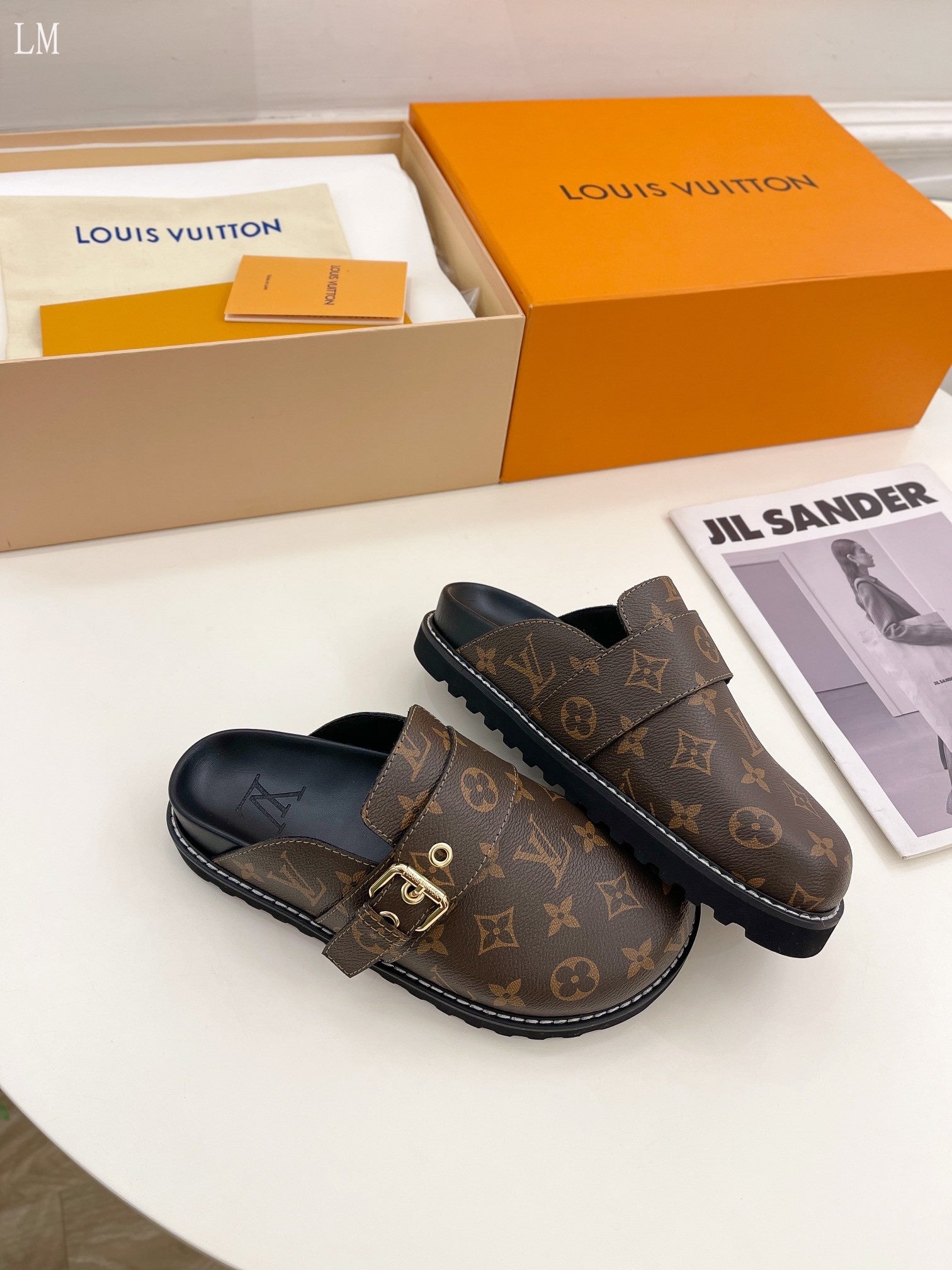 Louis Vuitton mules monogram
