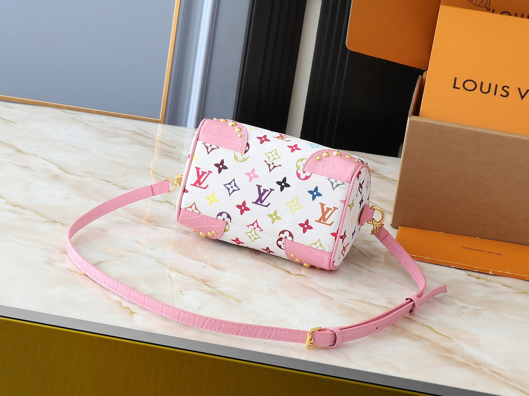 LV Speedy Murakami bag