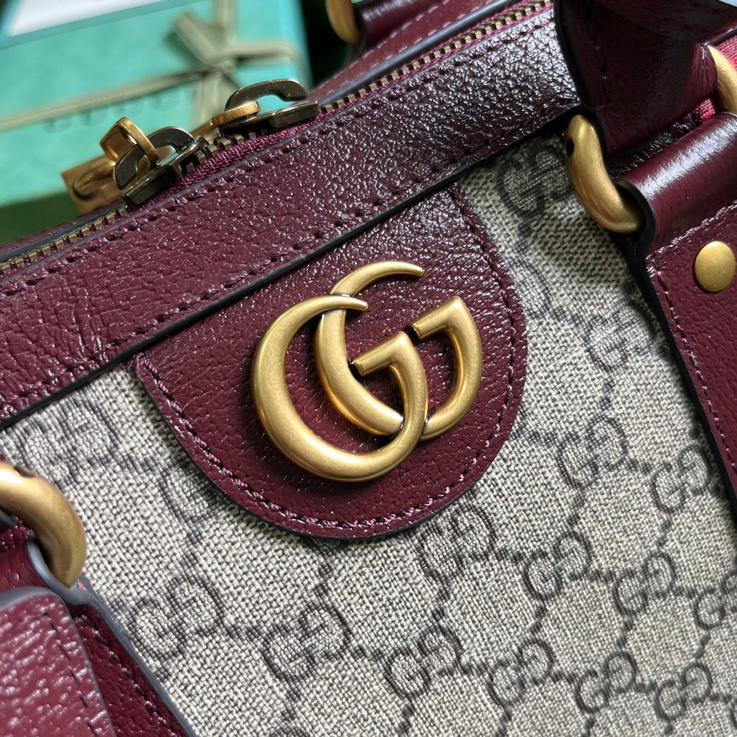 Gucci Travel Bag