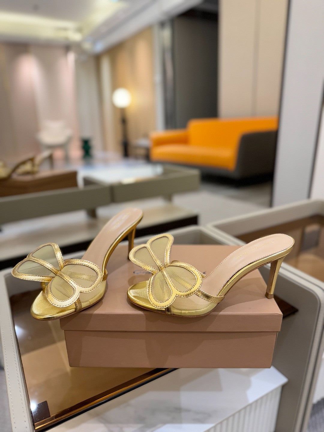 Gianvito Rossi shoes