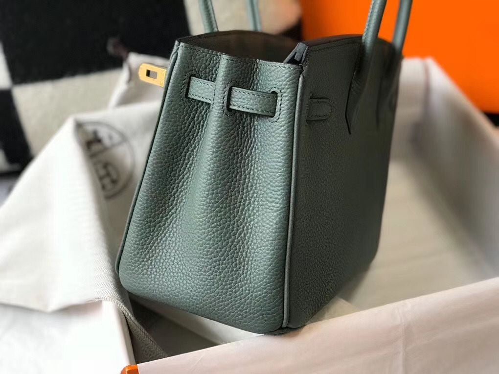 Hermes Birkin Bag In Vert Amande Clemence Leather GHW