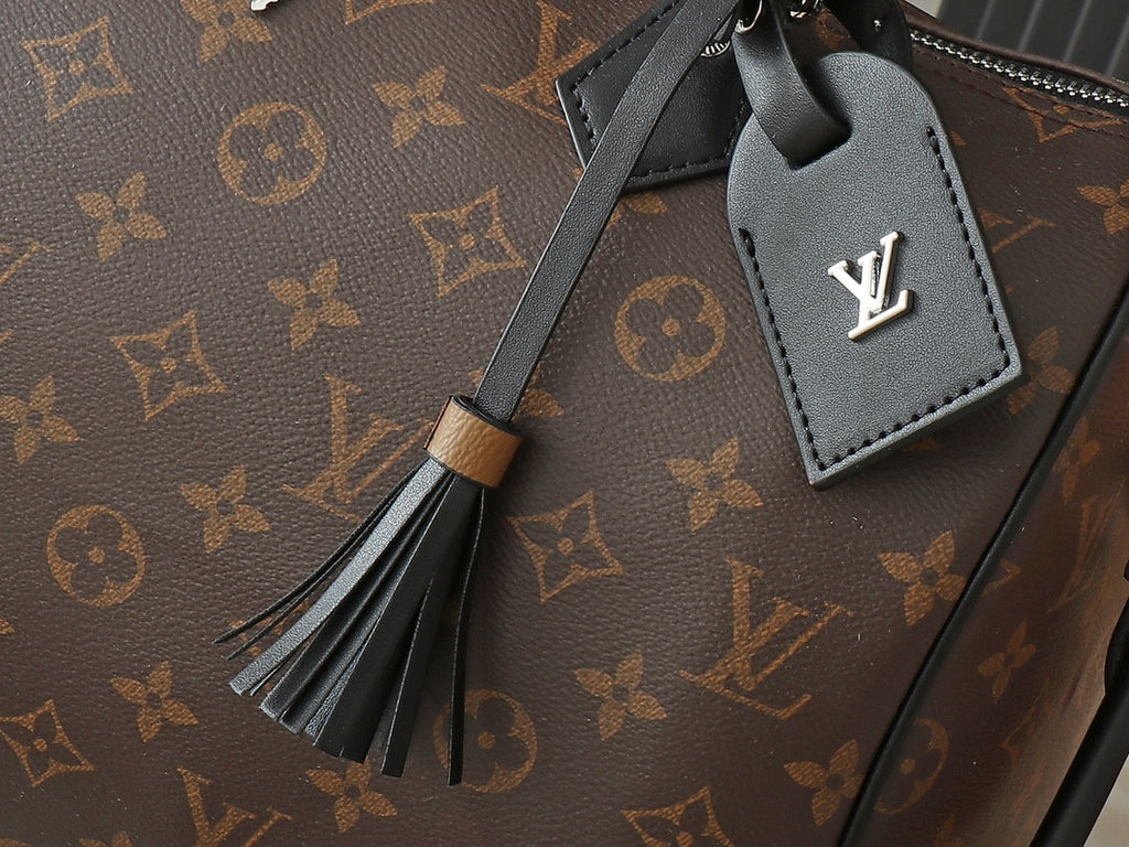 Louis Vuitton speedy boho