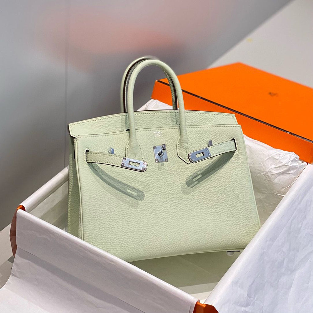 Hermes Birkin In Vert Fizz Clemence Leather PHW