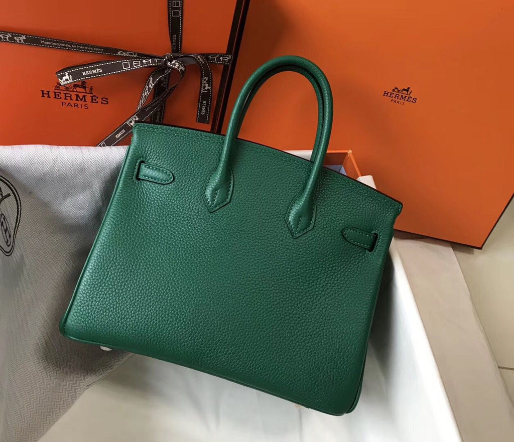 Hermes Birkin In Vert Vertigo Clemence Leather GHW