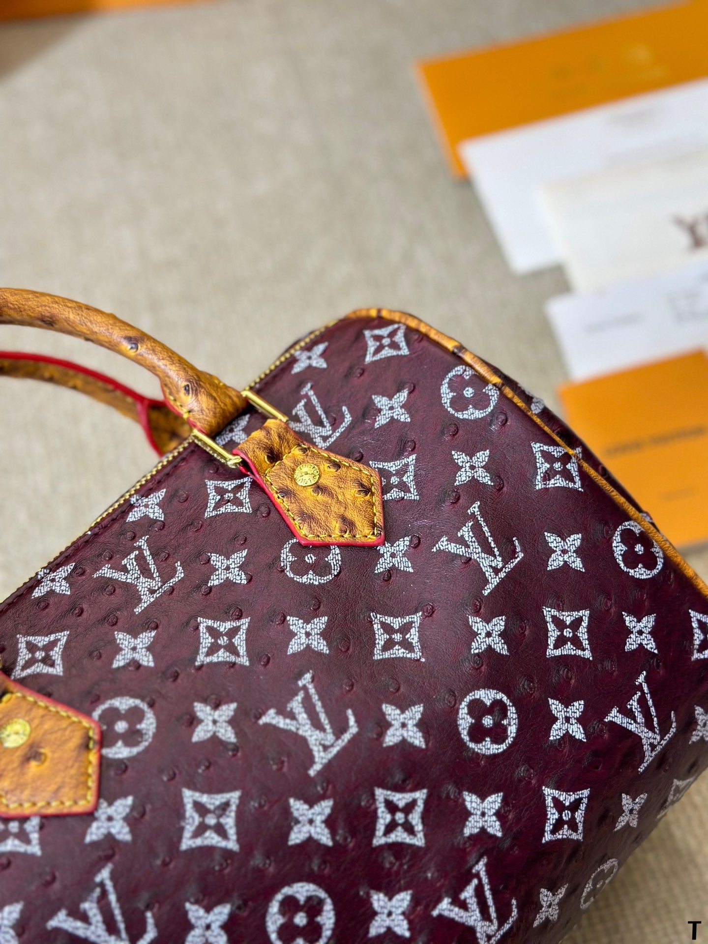 Louis Vuitton Speedy 25