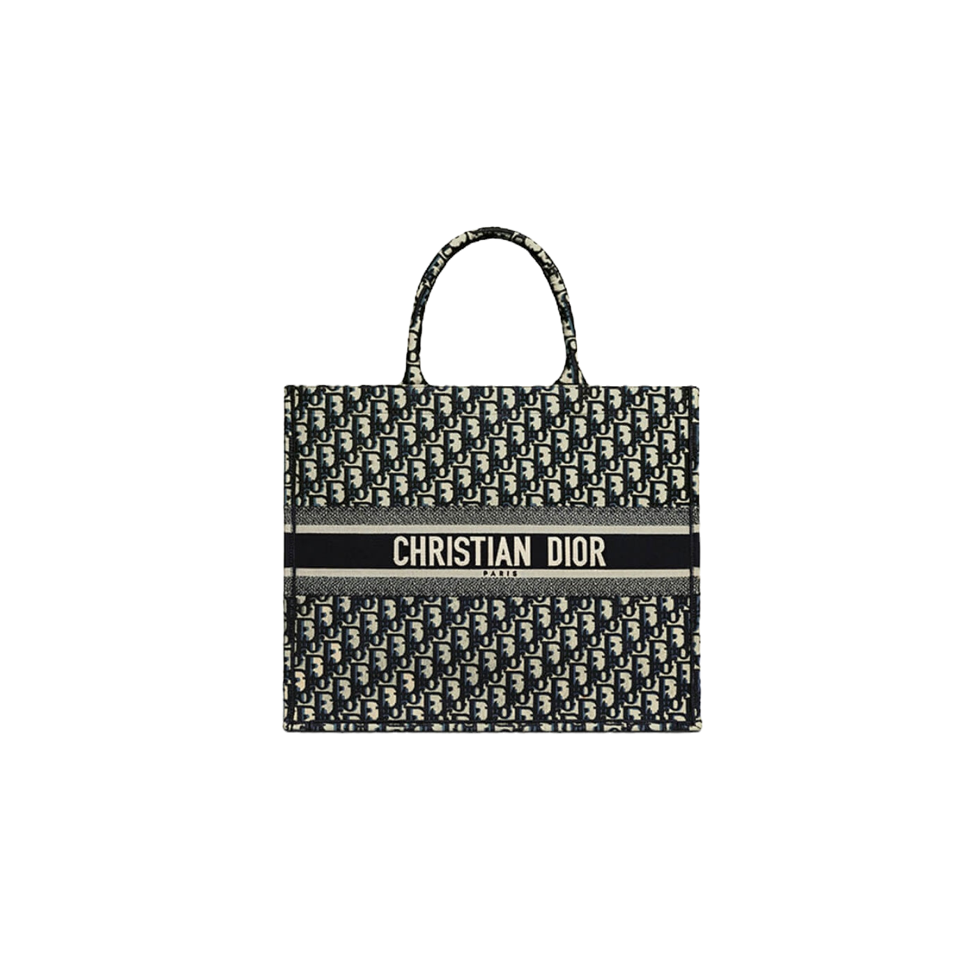 Dior Book Tote