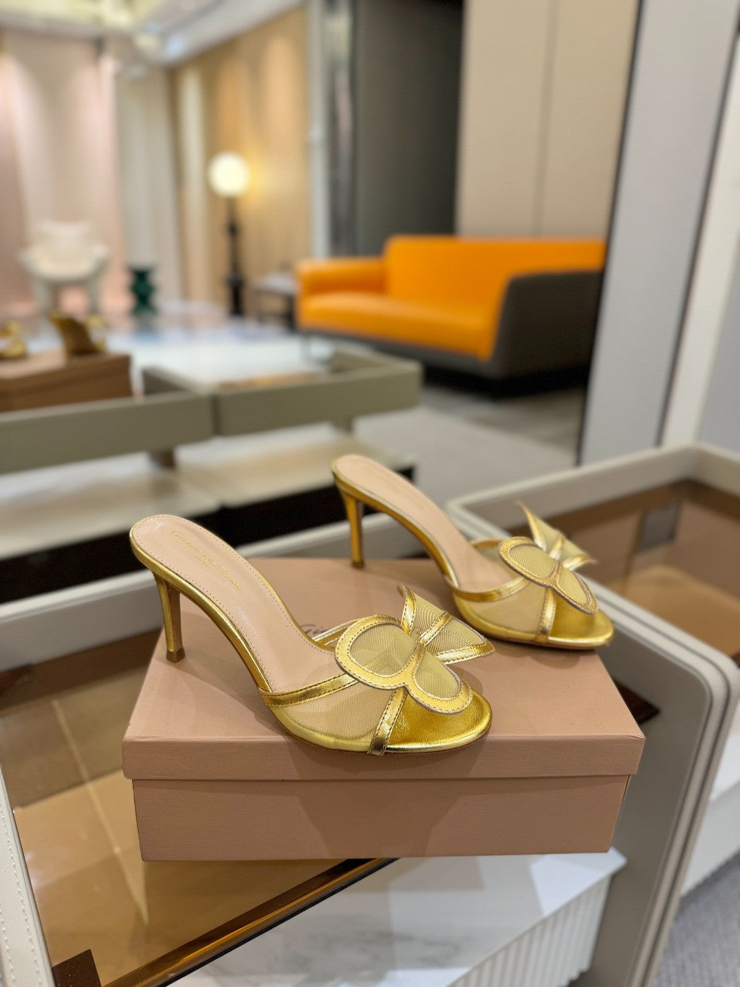 Gianvito Rossi shoes