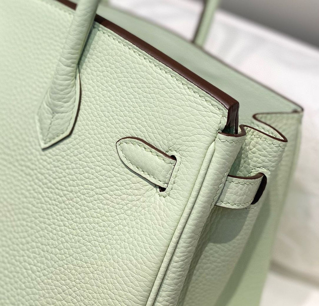 Hermes Birkin In Vert Fizz Clemence Leather PHW