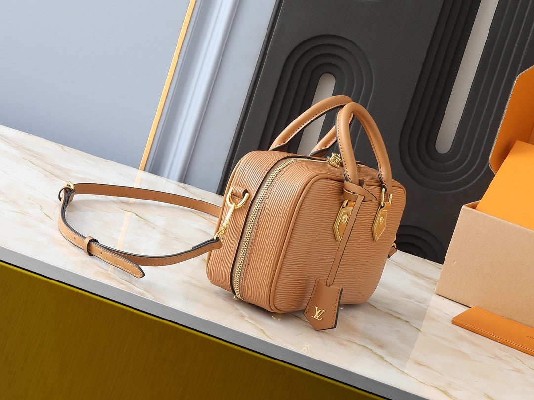 Louis Vuitton female leather bag