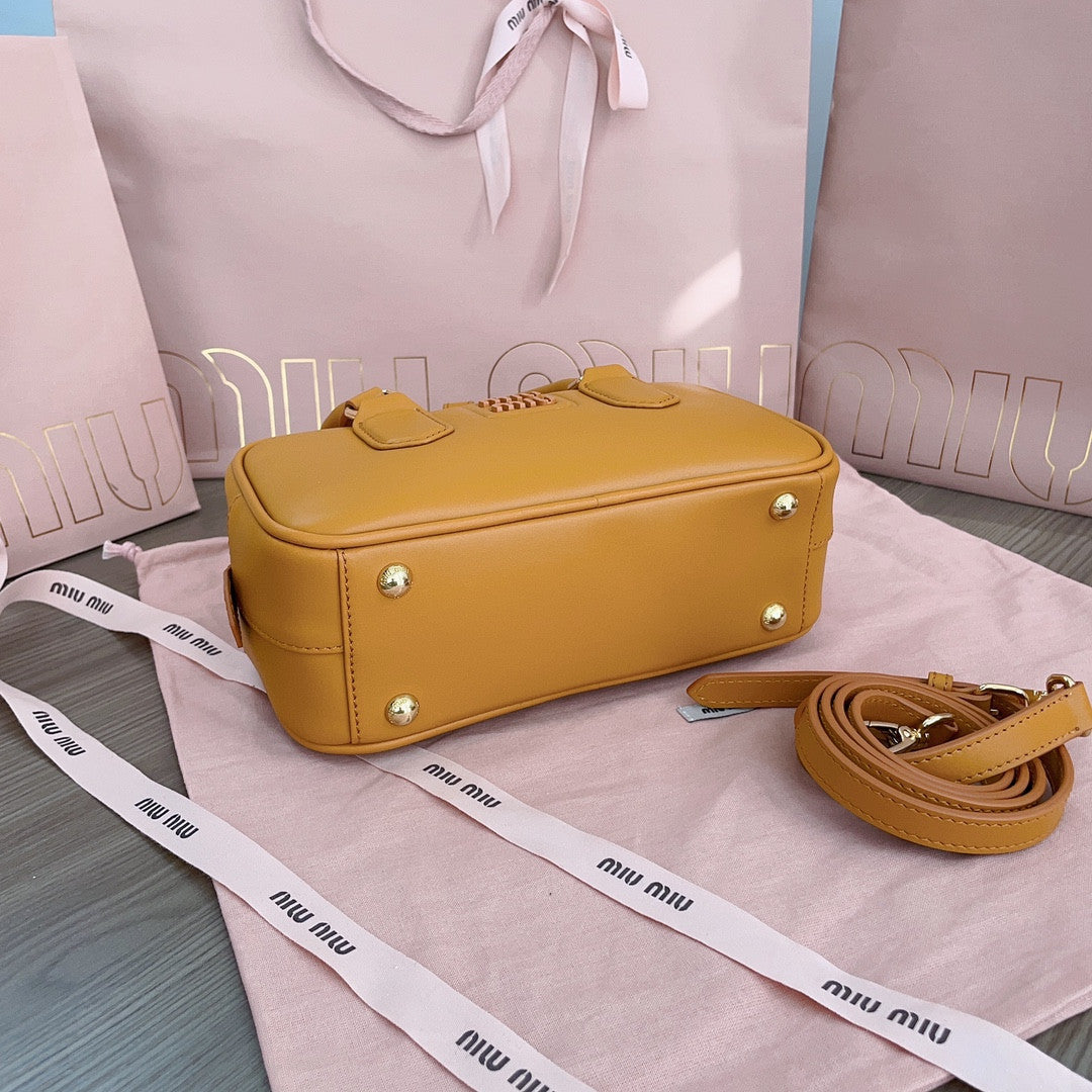 Miu Miu bag