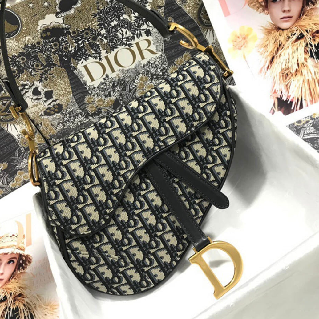 Dior Saddle Bag