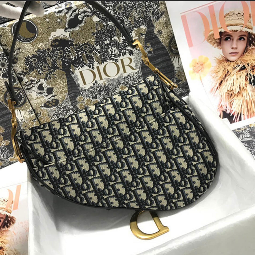 Dior Saddle Bag