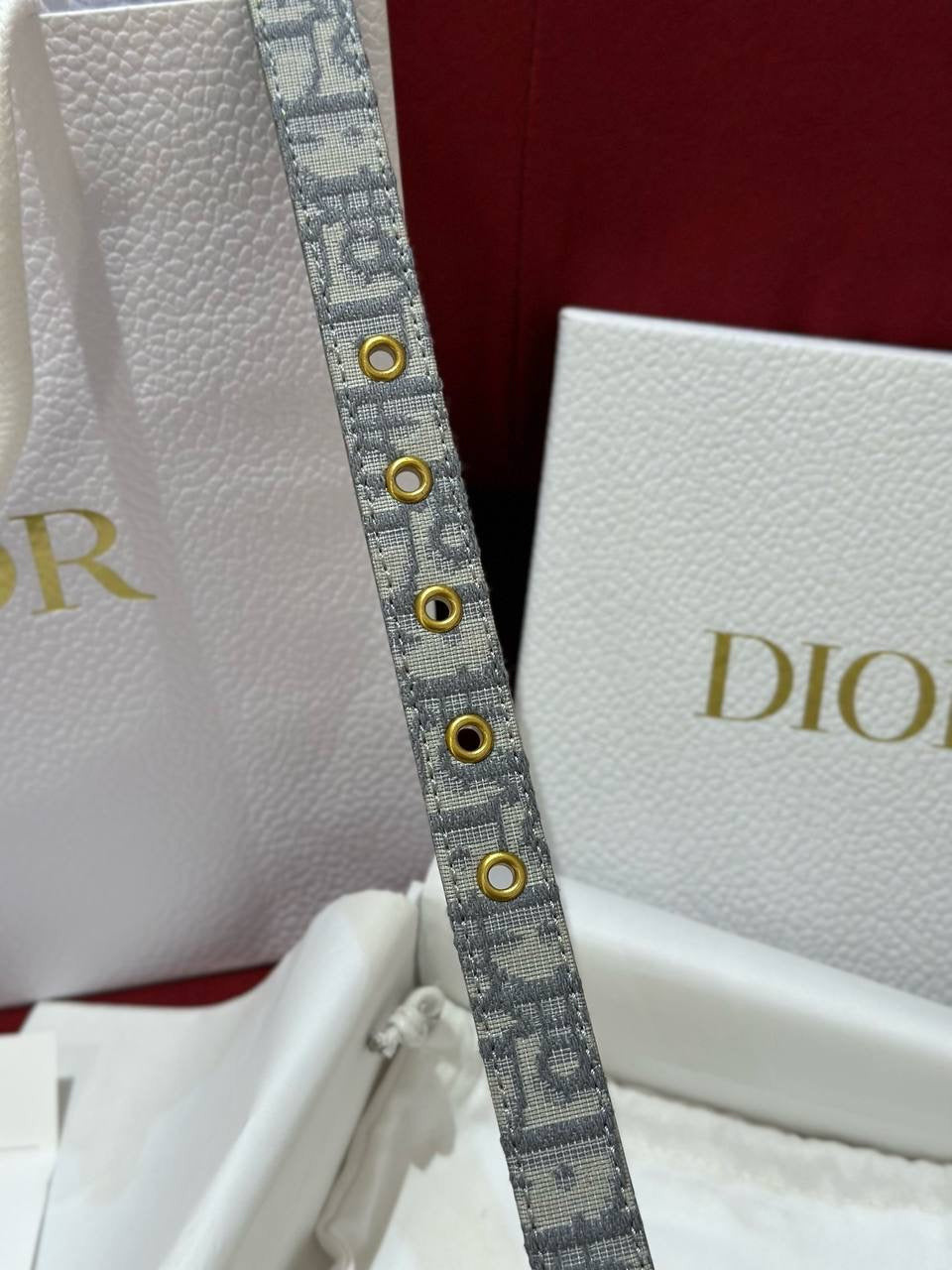 Dior Belt 2cm
