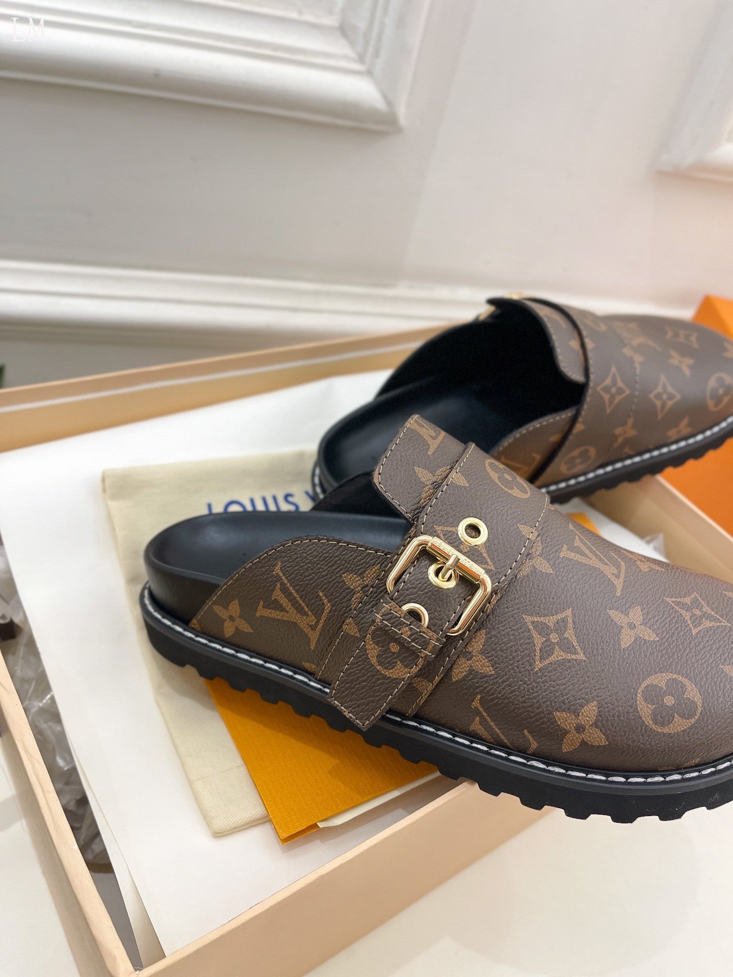Louis Vuitton mules monogram