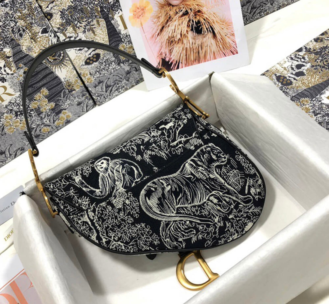 Dior Saddle Bag