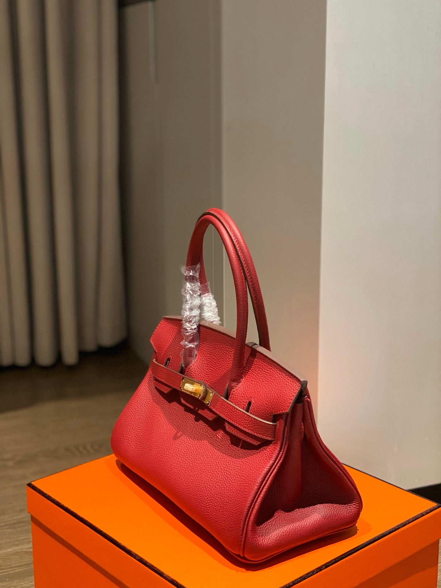 Hermes Birkin Handbag in Red