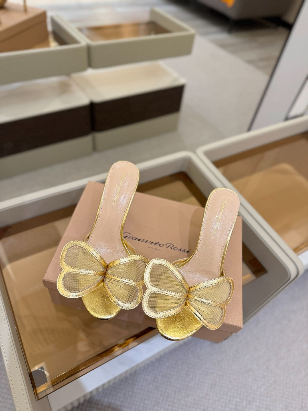 Gianvito Rossi shoes