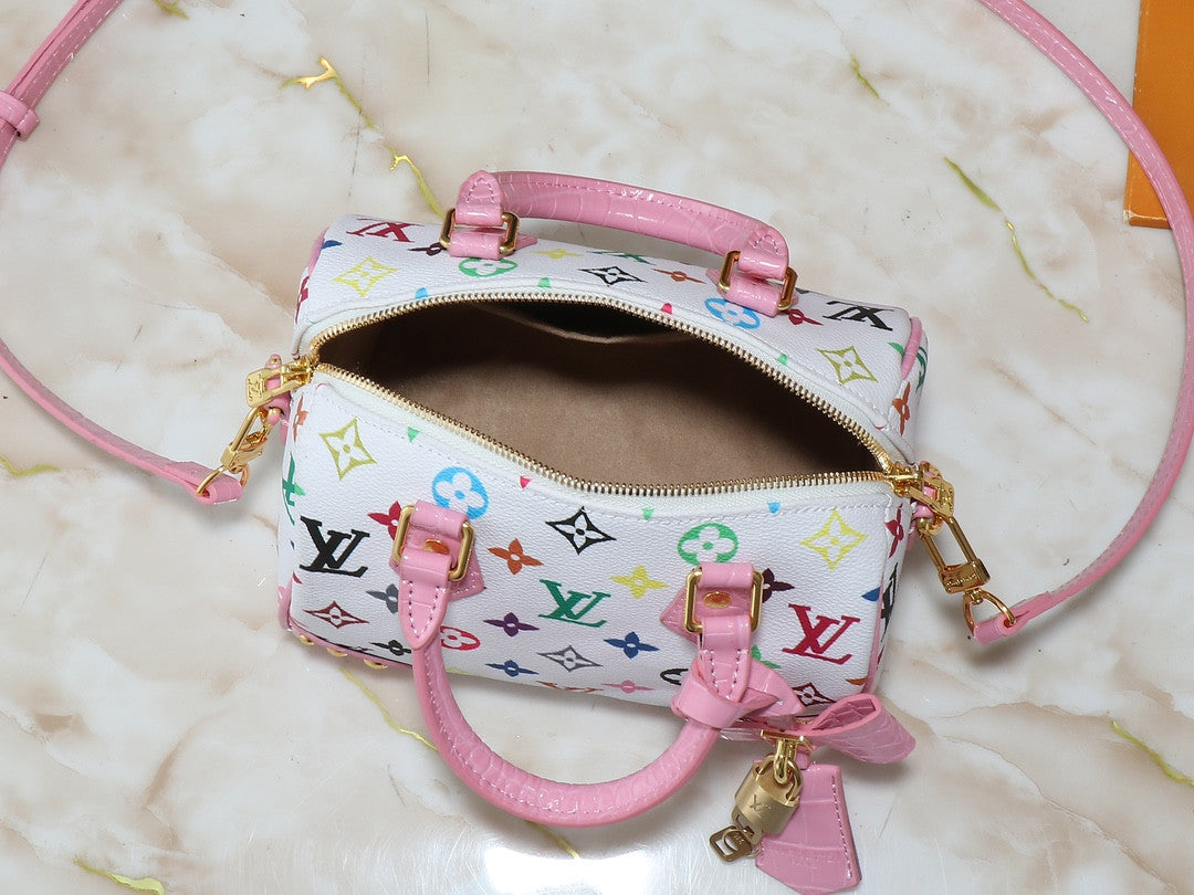 LV Speedy Murakami bag