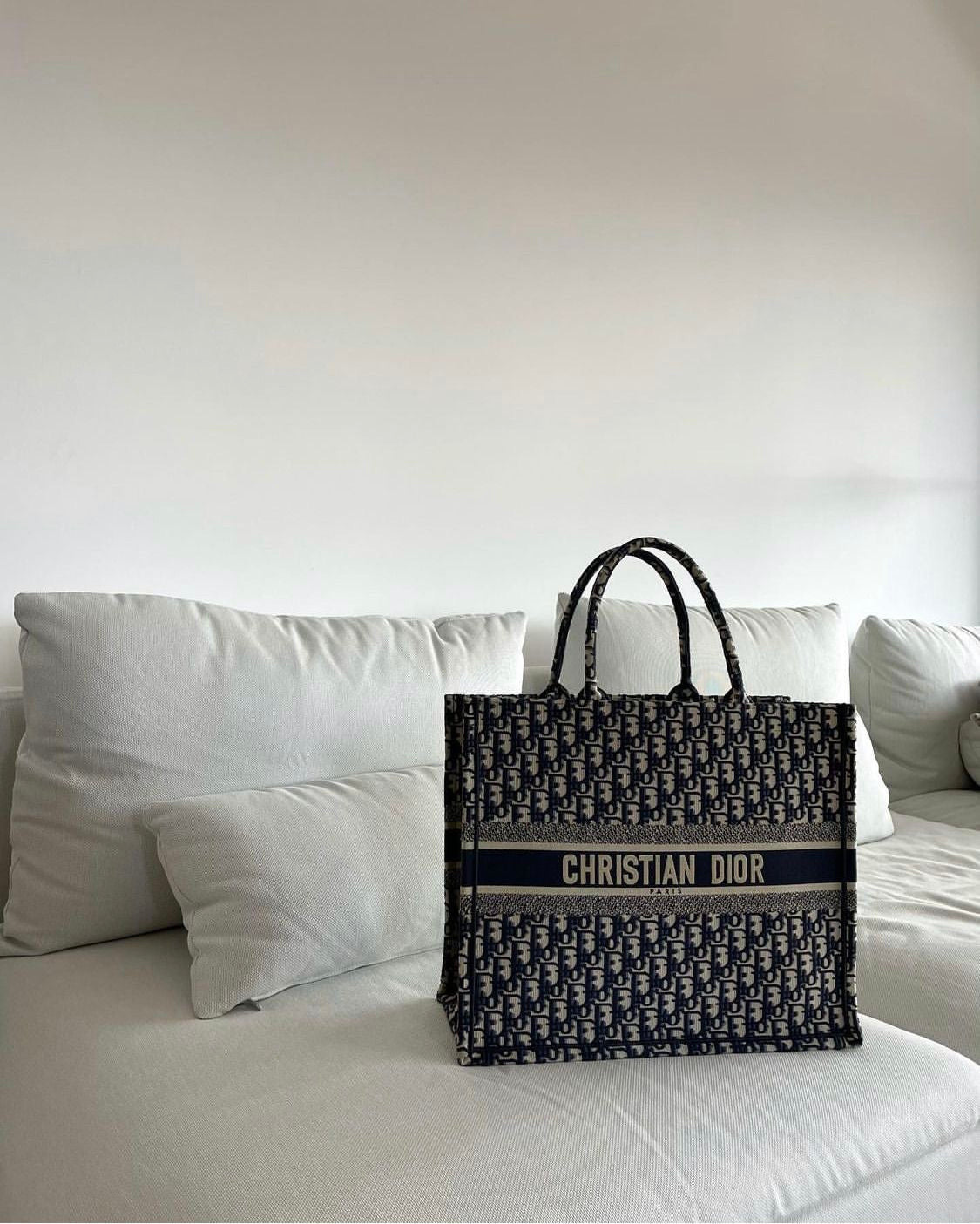 Dior Book Tote