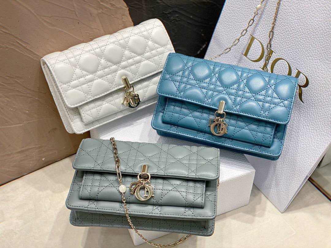 Christian Dior Bag