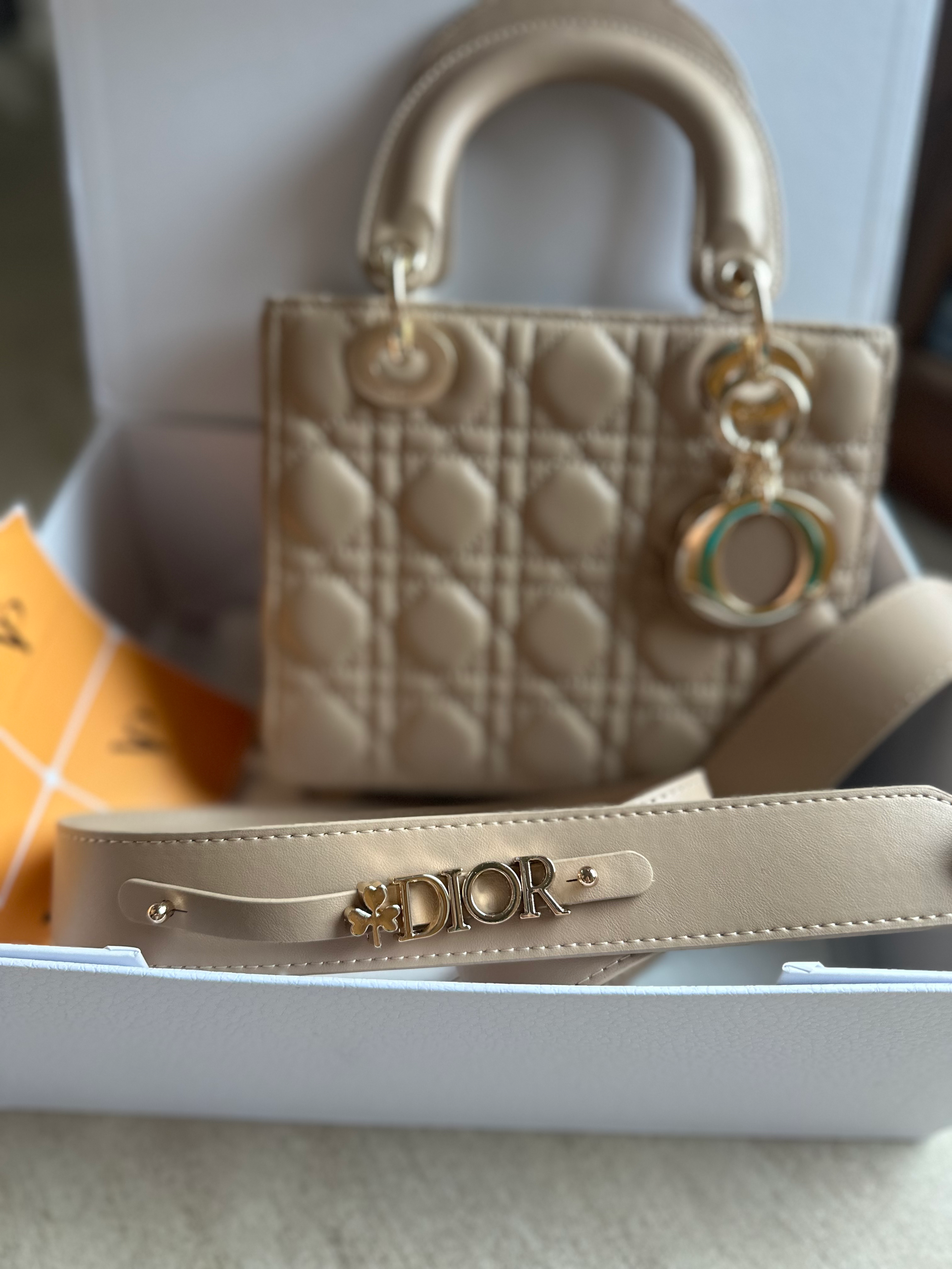 Lady Dior bag in nude