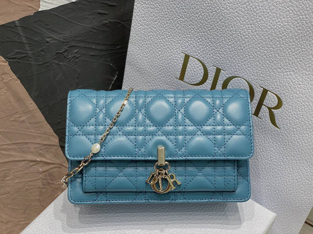 Christian Dior Bag