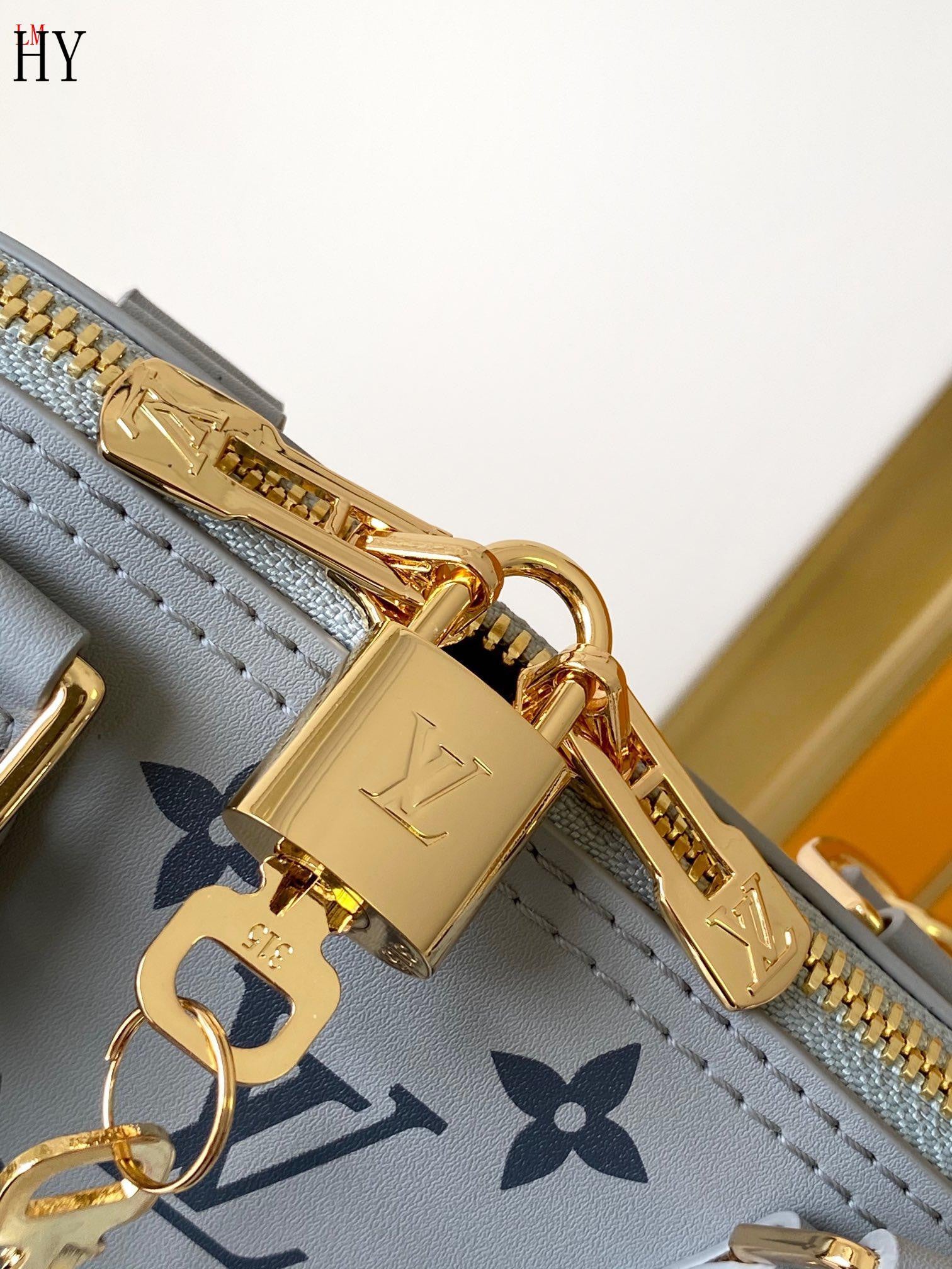 Louis Vuitton grey bag