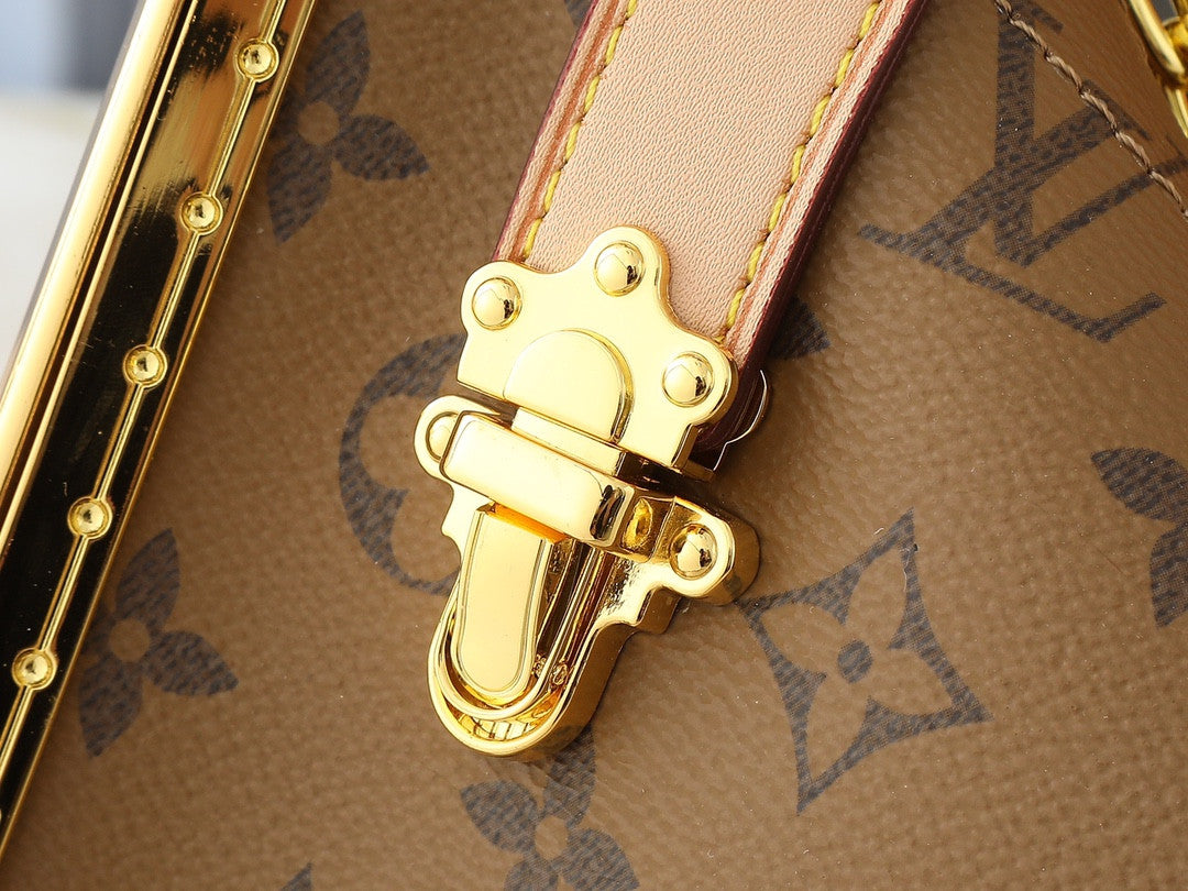 Louis Vuitton carryng leather bag