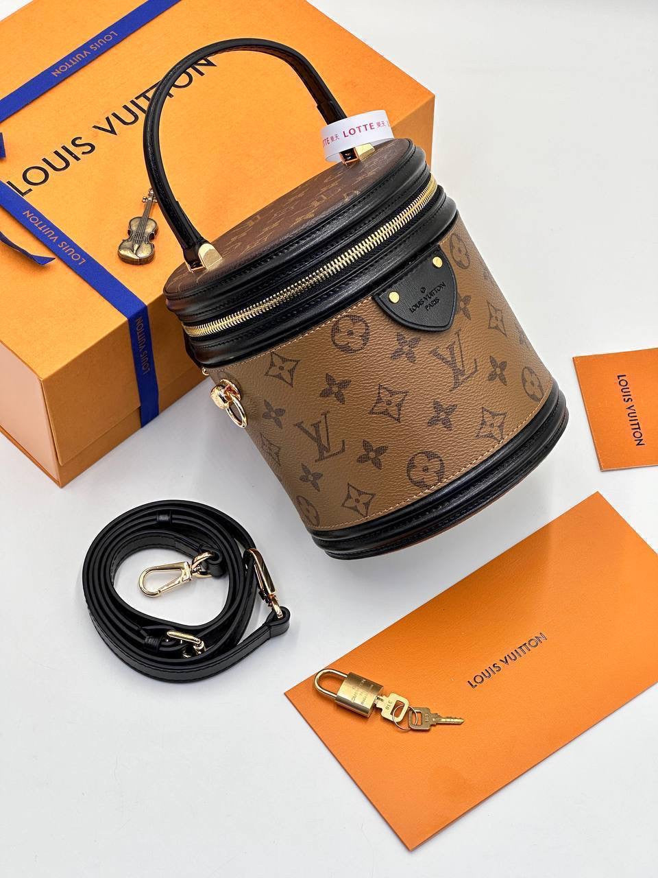 Louis Vuitton mini bag