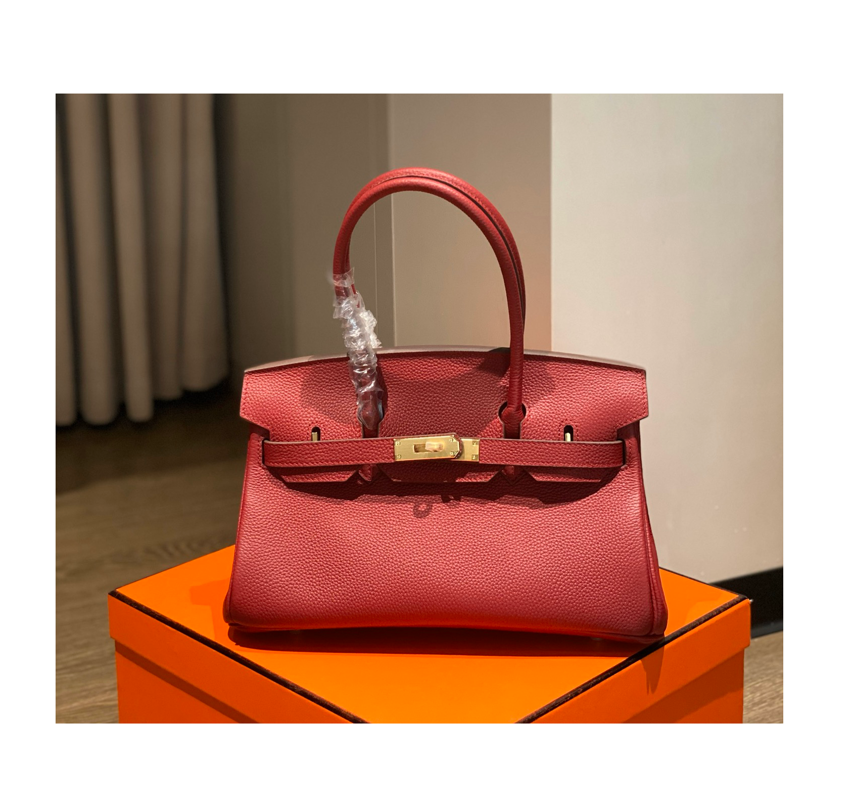 Hermes Birkin Handbag in Red