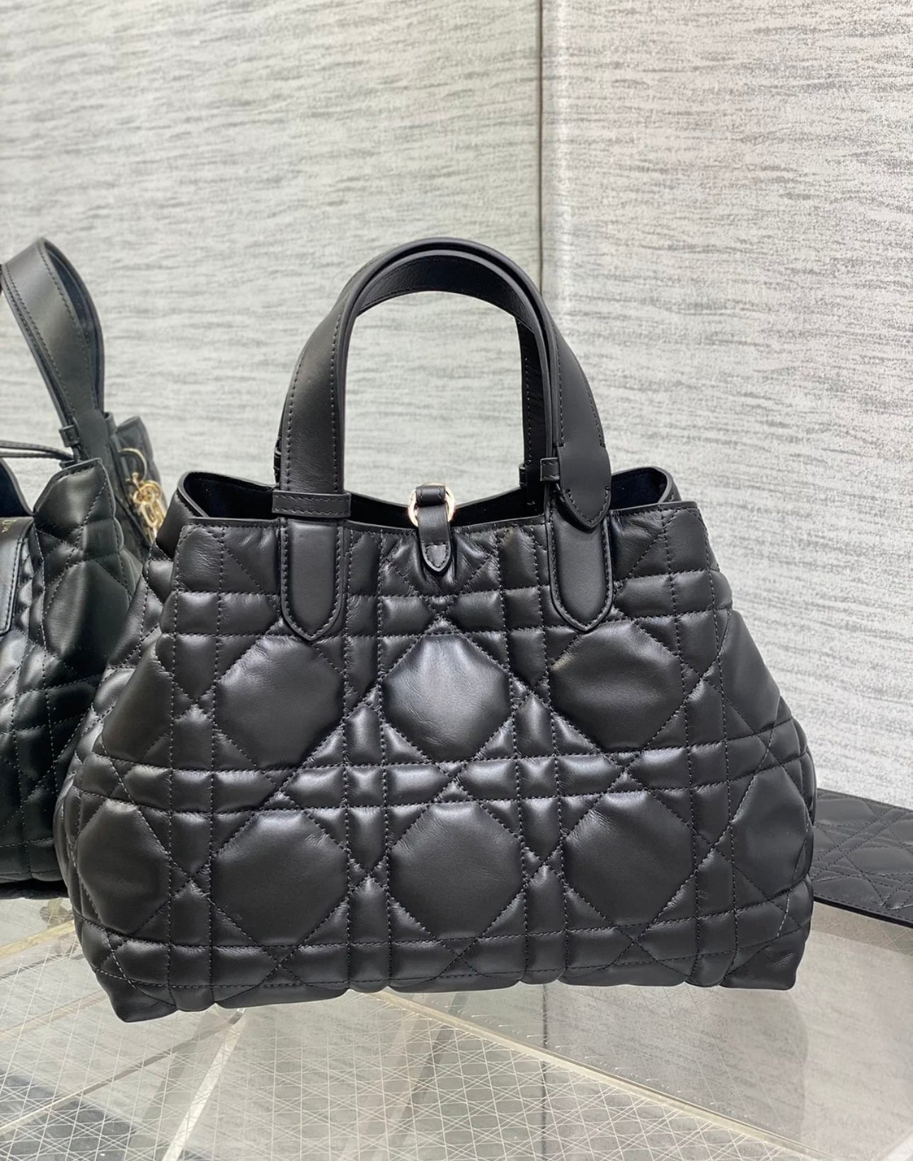 Small Dior Toujours Bag