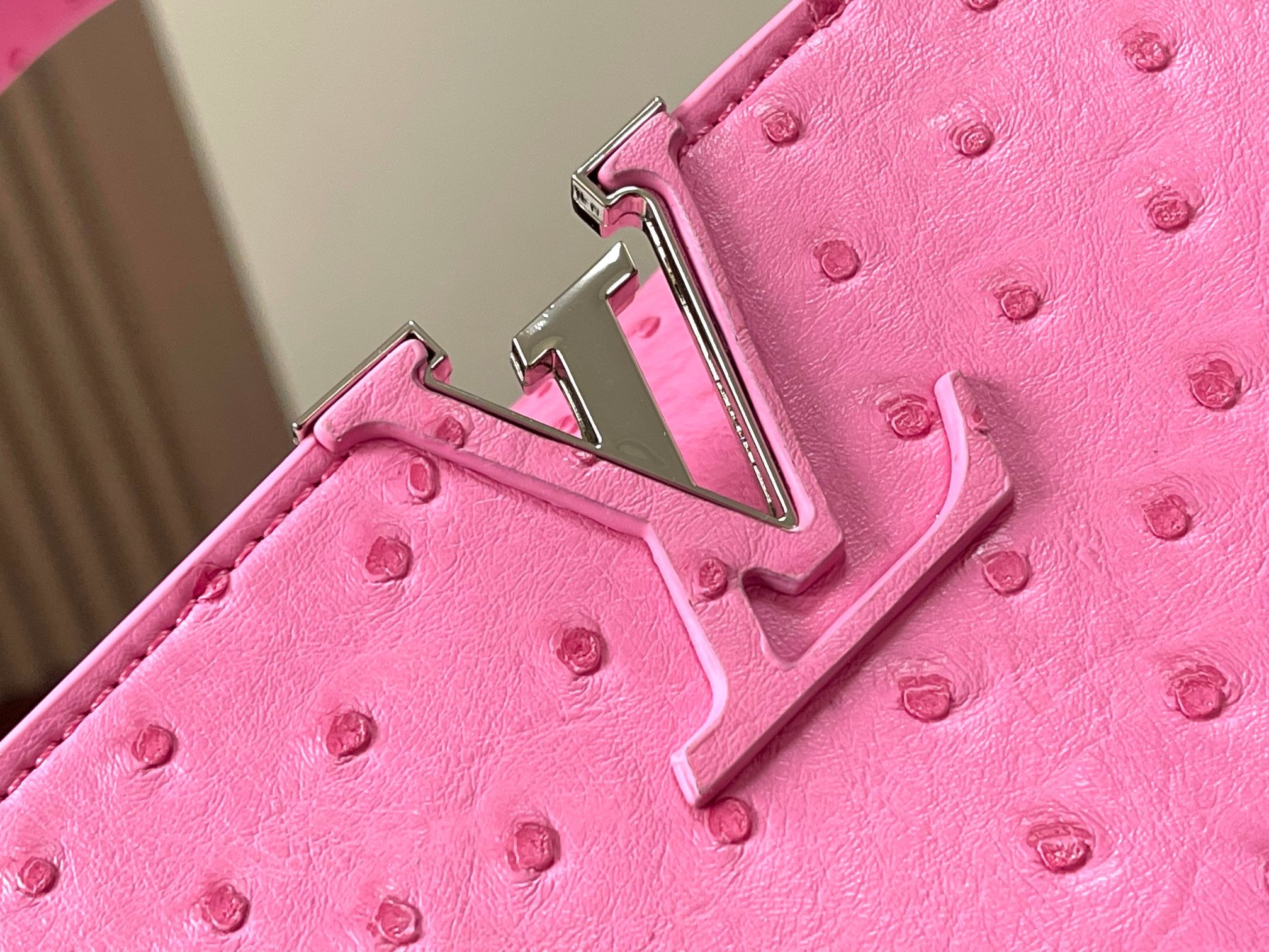 Louis Vuitton Capucines In Ostrich