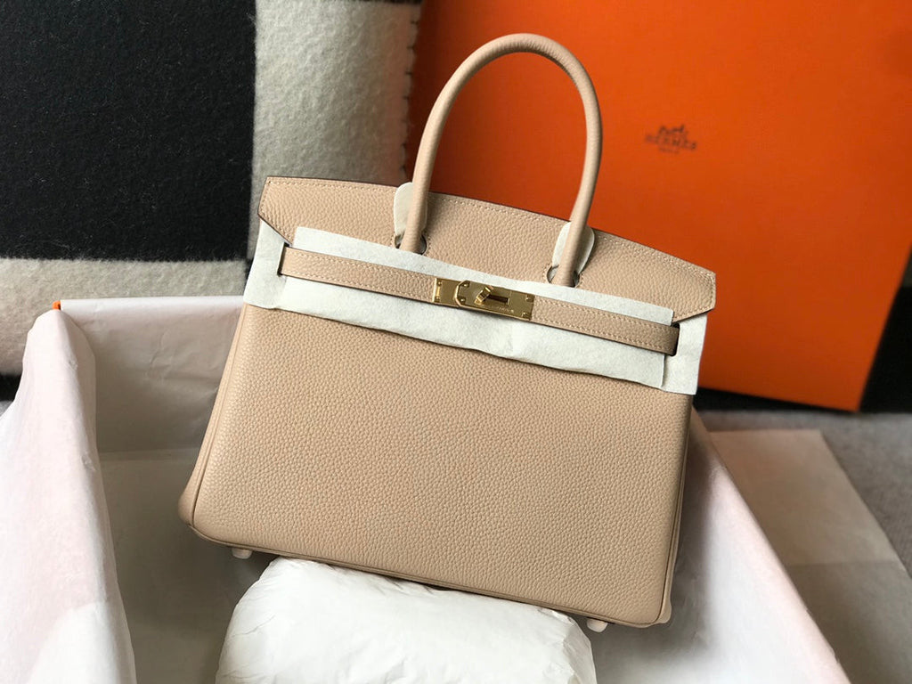 Hermes Birkin în trench Togo
